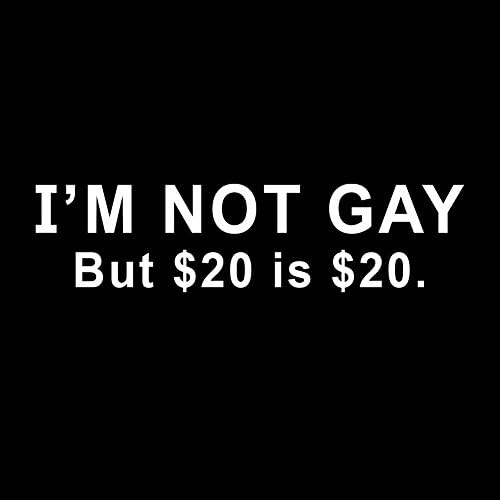 Јас не сум геј, но 20 долари се дваесет долари смешни 6 винилни налепници за налепница