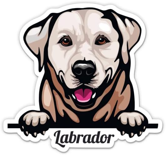 Налепница Лабрадор ретривер - налепница за лаптоп 3 - водоотпорен винил за автомобил, телефон, шише со вода - лабораторија за кучиња