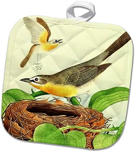 3drose гроздобер птици уметност уметност жолто-гради птици илустрација на гнездо. - Potholders