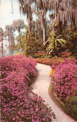 Кипарски градини, разгледница во Флорида