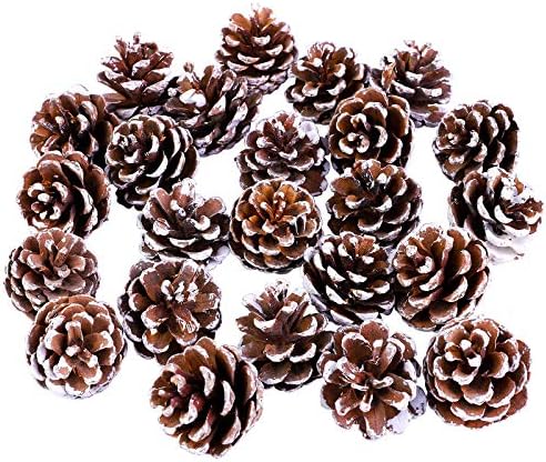 COORABY 24 парчиња 3-4 см мини Кристама бор конуси празници за празници Божиќ бели бор конуси паѓаат Денот на благодарноста