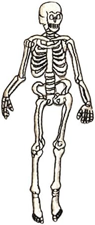 ID 0884 Човечки скелет за лепенка за вештерки украсено железо на апликација