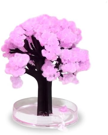 Палците на Велика Британија Меџик Сакура минијатурно дрво, една големина, розова